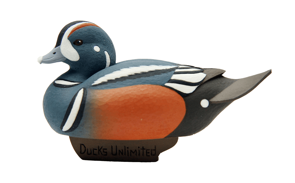 Harlequin Miniature Decoy