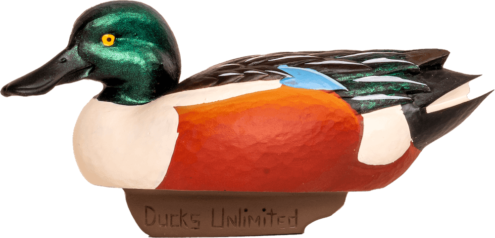 Northern Shoveler Miniature Decoy