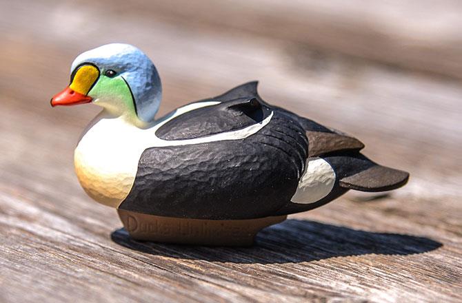 King Eider Miniature Decoy