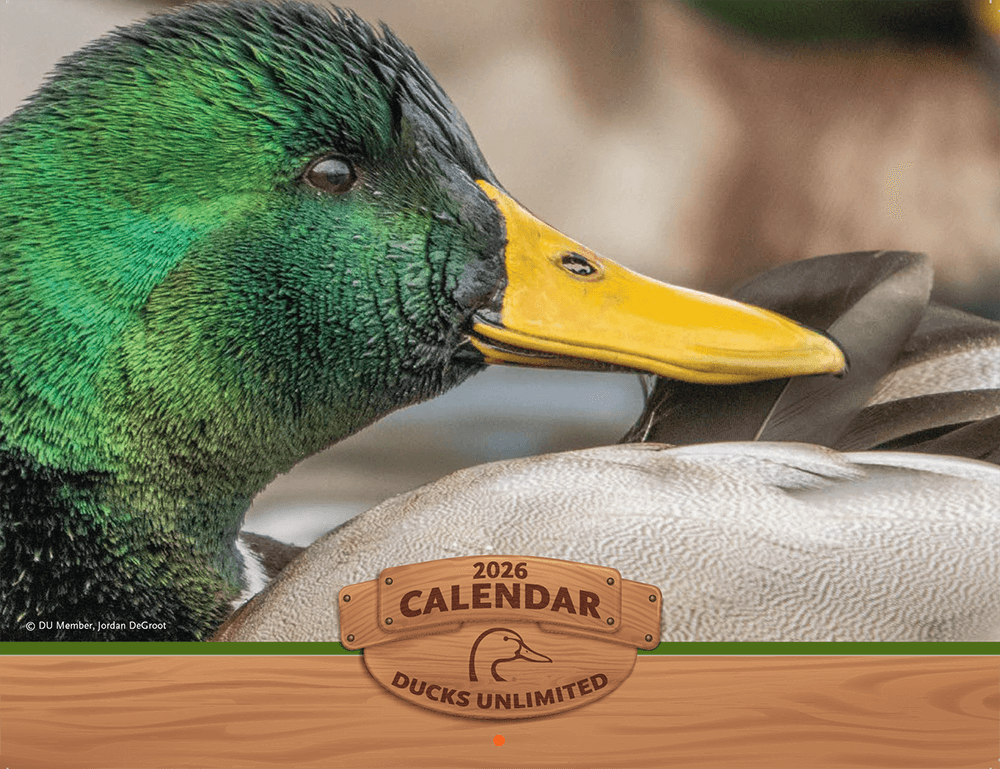 2026 DU Photo Calendar