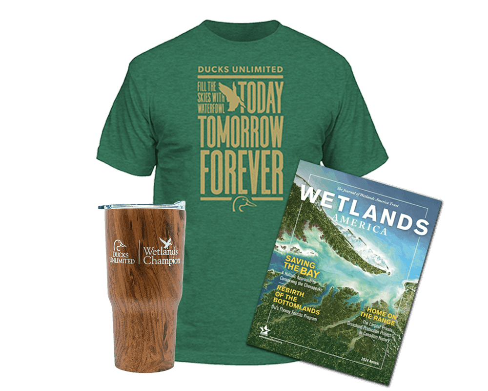 Wood Grain tumbler, Wetlands Champion T-Shirt, Wetlands America magazine