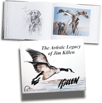 The Artistic Legacy of Jim Killen