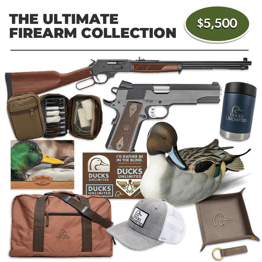 $5,500 Donation: Ultimate Firearm Collection