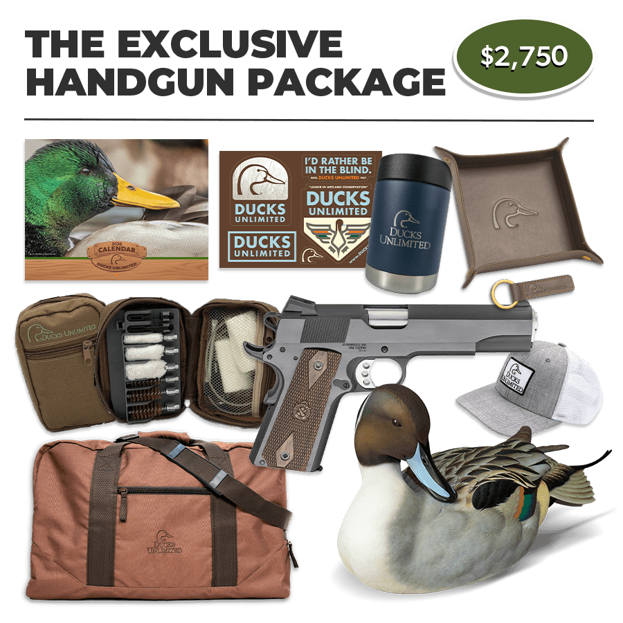 $2,750 Donation: Exclusive Handgun Pack